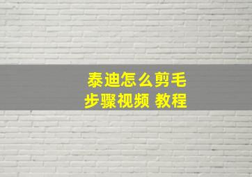 泰迪怎么剪毛步骤视频 教程